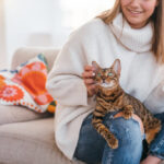 N Harfiyle Başlayan En Popüler Kedi İsimleri