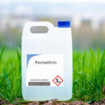 Permetrin Köpekler İçin Güvenli mi? Gerçekler, Tavsiyeler ve Kullanım (Veteriner Yanıtı)